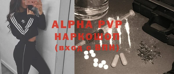 крисы Белокуриха