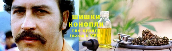 крисы Белокуриха