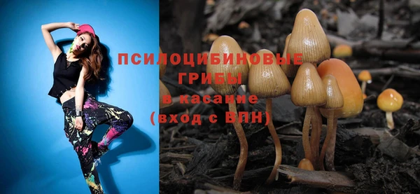 крисы Белокуриха