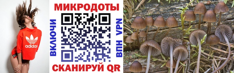 Псилоцибиновые грибы прущие грибы  цены наркотик  Верхний Уфалей 
