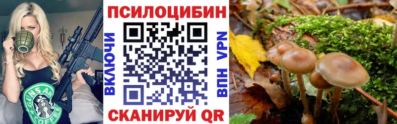 Псилоцибиновые грибы мицелий Верхний Уфалей
