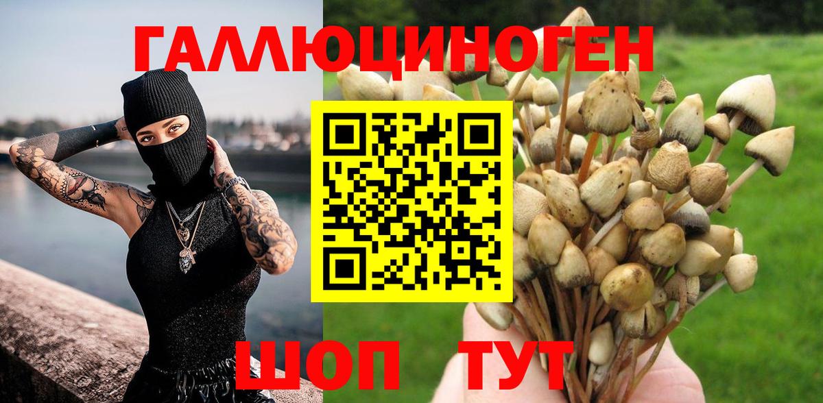 Верхний Уфалей  Псилоцибиновые грибы мухоморы  Вход с VPN  Псилоцибиновые грибы Cubensis 