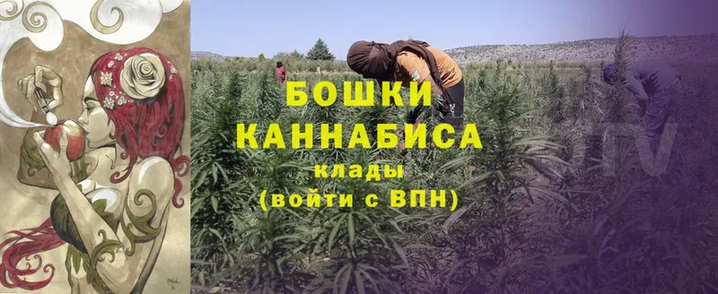 продажа наркотиков  Верхний Уфалей  Каннабис White Widow 